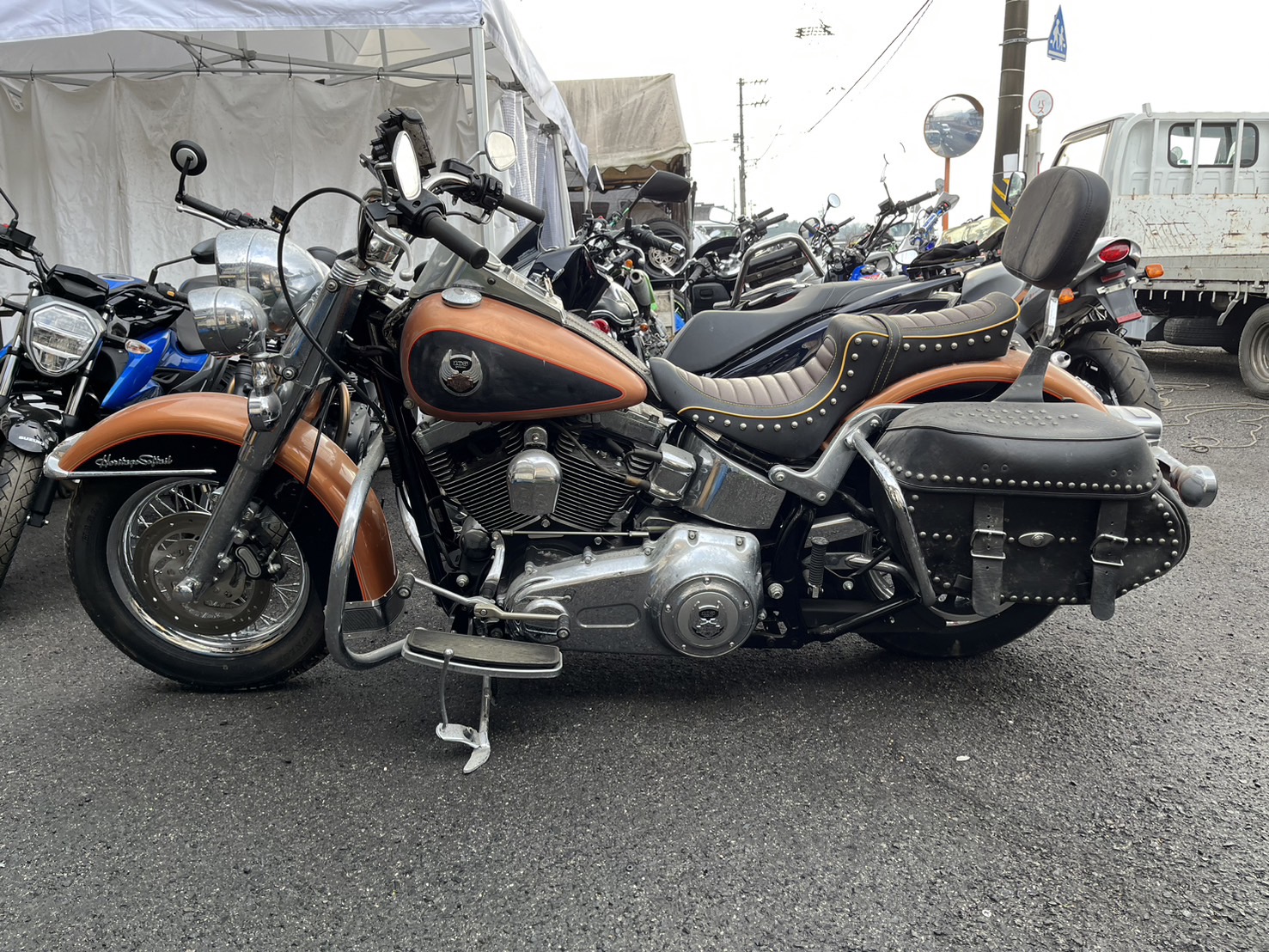 ハーレー FLSTC バイク買取 高知 実績